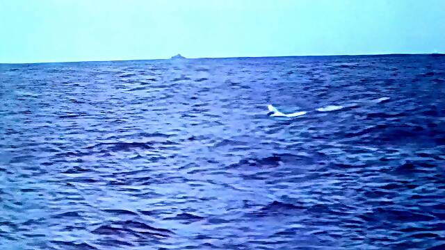 College Amateur Girls Throw Group Sex Party