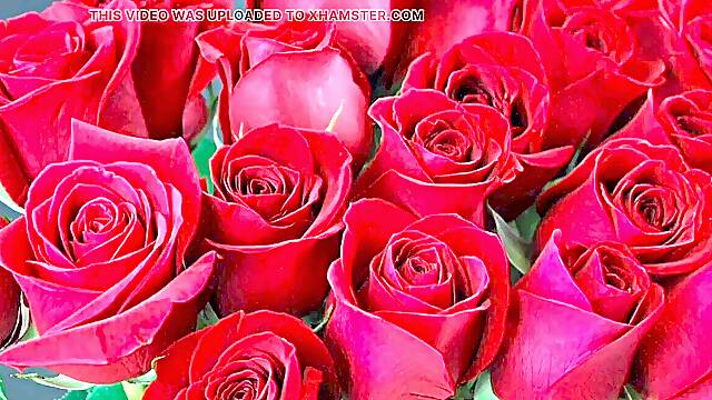 Bangla choti story hump stories total Bangla choti golpo mind-blowing mature mom cheating hasband full Bangla choti story