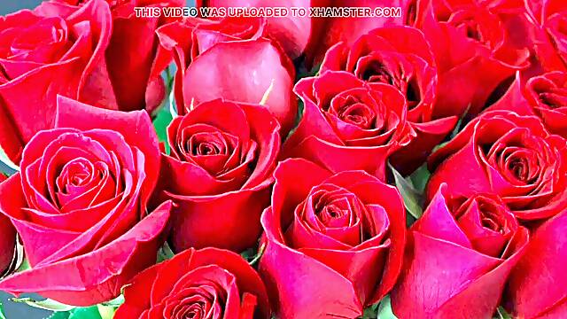 Bangla choto golpo stellar mature saree chachi cuckold hasband utter story Bangla choti golpo new bangla choti