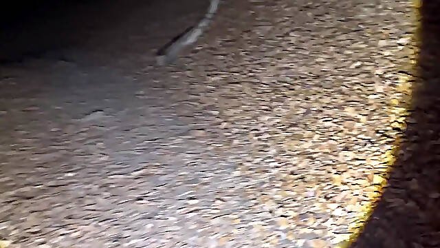 Night Hiking and Remove Most of My Clothes