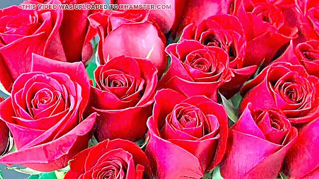 Bangla choto golpo gorgeous aunty plumb by hasband friend full story in Bangla audio story fresh bangla choti golpo