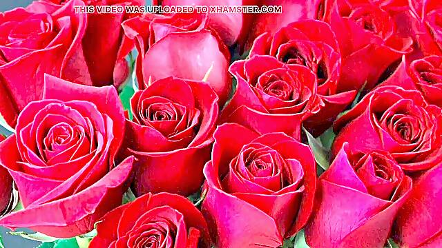 Bangla choti golpo full story in Bangla audio golpo marvelous mature saree chachi Sadia cheating hasband full story in Bangla a